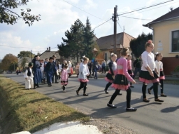 szuret16_8_20220219